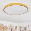 Broglen Ceiling Light LED brass, 1-light source