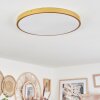 Broglen Ceiling Light LED brass, 1-light source