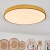 Broglen Ceiling Light LED brass, 1-light source