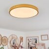 Broglen Ceiling Light LED brass, 1-light source