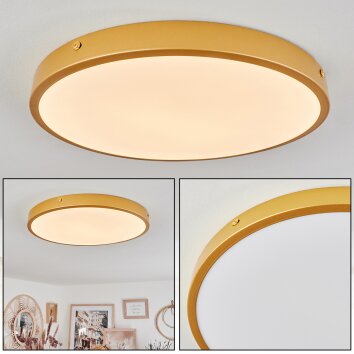 Broglen Ceiling Light LED brass, 1-light source
