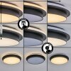 Caucete outdoor ceiling light LED black, 1-light source