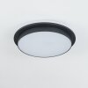 Caucete outdoor ceiling light LED black, 1-light source