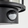 Sumalao Outdoor Wall Light black, 1-light source, Motion sensor