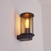 Sumalao Outdoor Wall Light black, 1-light source, Motion sensor