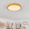 Broglen Ceiling Light LED brass, 1-light source