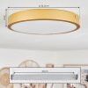 Broglen Ceiling Light LED brass, 1-light source
