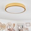 Broglen Ceiling Light LED brass, 1-light source