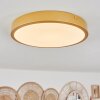Broglen Ceiling Light LED brass, 1-light source