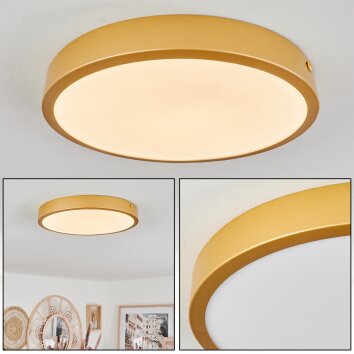 Broglen Ceiling Light LED brass, 1-light source