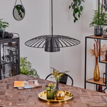 Tanakou Pendant Light black, 1-light source
