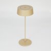 Kouvi Table lamp LED gold, 1-light source