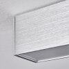 Dubuisson Ceiling Light LED aluminium, 1-light source, Remote control