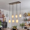 Bocayuva Pendant Light black, 6-light sources