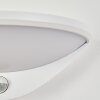 CARANO Outdoor Wall Light LED white, 1-light source, Motion sensor