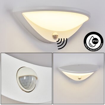 CARANO Outdoor Wall Light LED white, 1-light source, Motion sensor