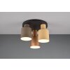 Trio AGUDO Ceiling Light black, 3-light sources