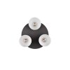 Trio AGUDO Ceiling Light black, 3-light sources