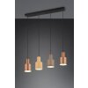 Trio AGUDO Pendant Light black, 4-light sources