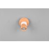 Trio Aruni Wall Light Ecru, 1-light source