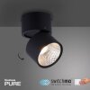 Paul Neuhaus PURE-NOLA Wall Light LED black, 1-light source