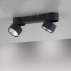 Paul Neuhaus PURE-NOLA Ceiling Light LED black, 2-light sources