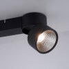 Paul Neuhaus PURE-NOLA Ceiling Light LED black, 2-light sources