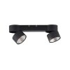 Paul Neuhaus PURE-NOLA Ceiling Light LED black, 2-light sources