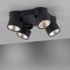 Paul Neuhaus PURE-NOLA Ceiling Light LED black, 4-light sources