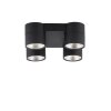 Paul Neuhaus PURE-NOLA Ceiling Light LED black, 4-light sources