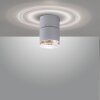 Paul Neuhaus PURE-NOLA Wall Light LED white, 1-light source