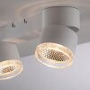 Paul Neuhaus PURE-NOLA Ceiling Light LED white, 2-light sources
