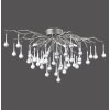 Paul Neuhaus ICICLE Ceiling Light silver, 4-light sources