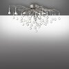 Paul Neuhaus ICICLE Ceiling Light silver, 4-light sources