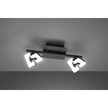 Fischer & Honsel Ray Ceiling Light LED black, 2-light sources