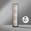 Fischer & Honsel Thor Floor Lamp black, 3-light sources