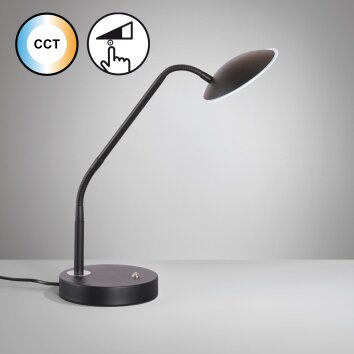 Fischer & Honsel Tallri Table lamp LED black, 1-light source