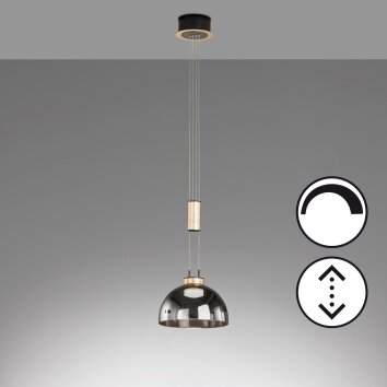 Fischer & Honsel Avignon Pendant Light LED black, 1-light source