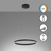 Fischer & Honsel Sirko Pendant Light LED black, 1-light source, Remote control