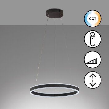 Fischer & Honsel Sirko Pendant Light LED black, 1-light source, Remote control