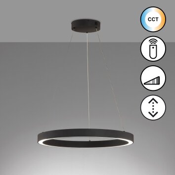 Fischer & Honsel Sirko Pendant Light LED black, 1-light source, Remote control