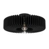 Eglo PALOMBAIA Ceiling Light black, 1-light source