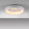 Leuchten-Direkt VERTIGO Ceiling Light LED white, 1-light source, Remote control
