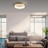 Leuchten-Direkt VERTIGO Ceiling Light LED gold, 1-light source, Remote control