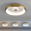 Leuchten-Direkt VERTIGO Ceiling Light LED gold, 1-light source, Remote control