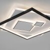 Paul Neuhaus MAILAK Ceiling Light LED black, white, 2-light sources