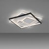 Paul Neuhaus MAILAK Ceiling Light LED black, white, 2-light sources