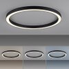 Paul Neuhaus PURE-LINES Ceiling Light LED anthracite, 1-light source, Remote control