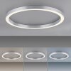 Paul Neuhaus PURE-LINES Ceiling Light LED silver, 1-light source, Remote control