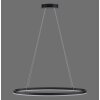 Paul Neuhaus TITUS Pendant Light LED anthracite, 1-light source